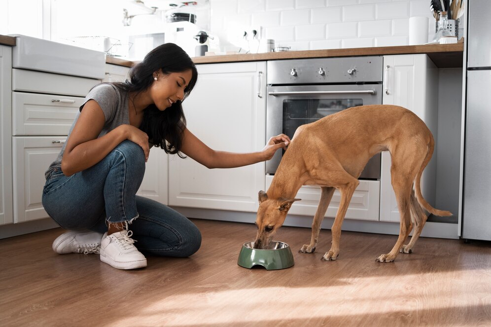 Dog Food