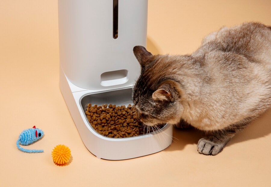 Good Cat Food