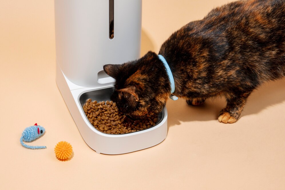 Science Diet Kitten Food